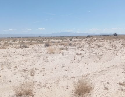 Property in Inyo County, California