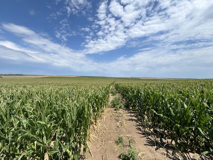 Property in Hayes County, Nebraska