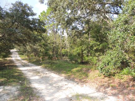 Property for sale in Levy County, Florida
