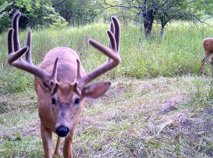 Property in Franklin County, Kansas