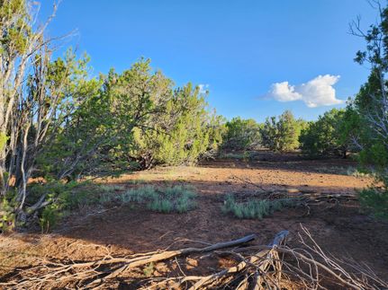 Property for sale in Apache County, Arizona
