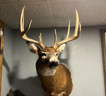 Property in Oconto County, Wisconsin