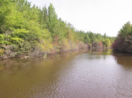 Property in Clarke County, Mississippi