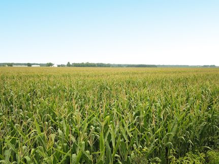 Property in Dodge County, Nebraska