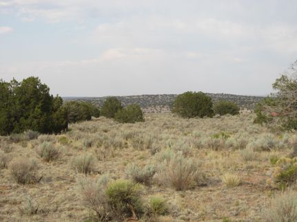 Property in Apache County, Arizona