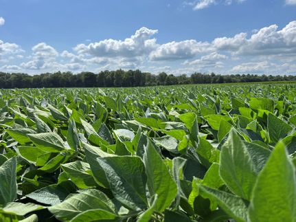 Property in McLean County, Kentucky