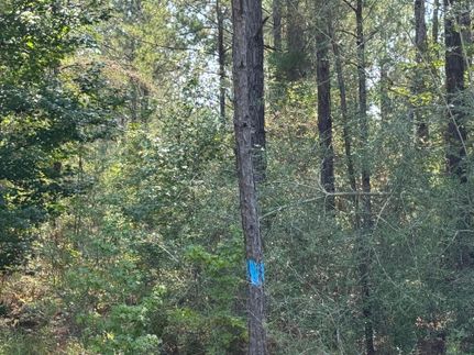 Property in Vernon Parish, Louisiana