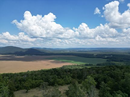 Property in Madison County, Alabama