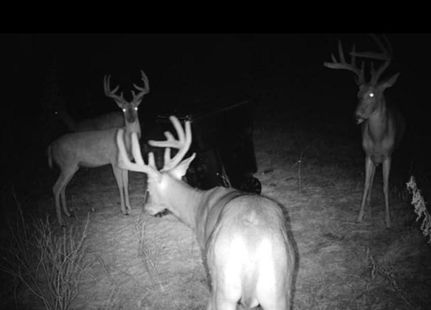 Property in Linn County, Kansas