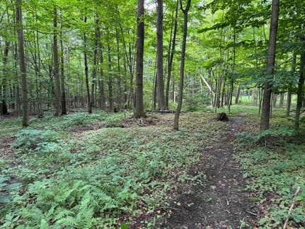 Property in Chautauqua County, New York