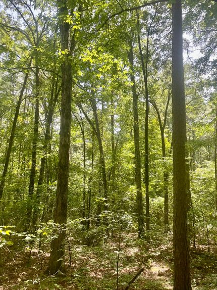 Property in Independence County, Arkansas