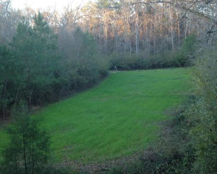 Property in Pike County, Mississippi