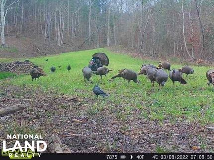 Property in Chilton County, Alabama