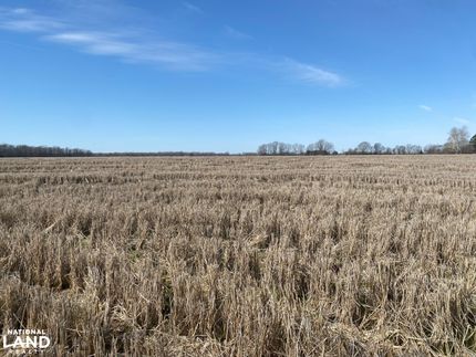 Property in Arkansas County, Arkansas