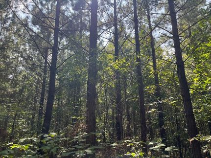 Property in Halifax County, Virginia