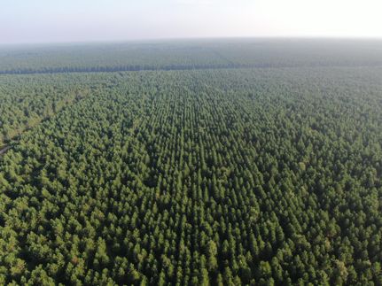 Property in Adams County, Wisconsin