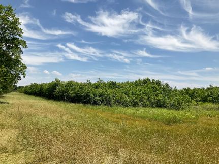 Property in Jefferson County, Arkansas