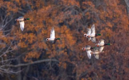 Property in Sunflower County, Mississippi