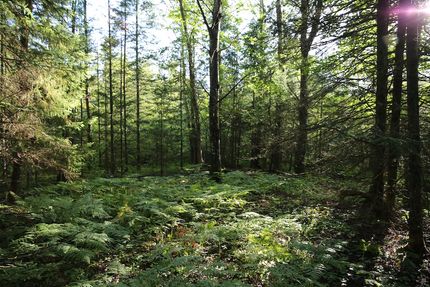 Property in Oneida County, Wisconsin