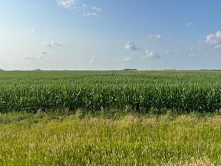 Property in Kossuth County, Iowa