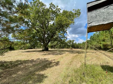 Property in Calhoun County, Georgia