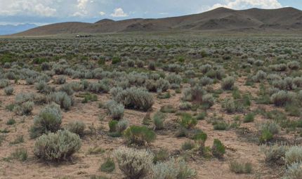 Undeveloped Land for sale in Costilla County, Colorado