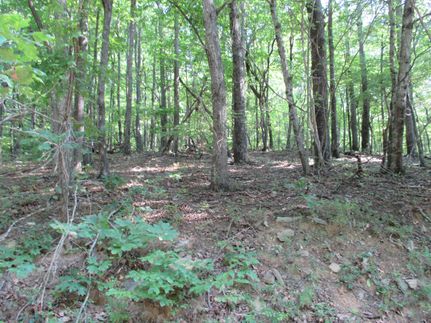 Property in Pickens County, Georgia