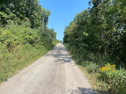 Property in Fayette County, Illinois