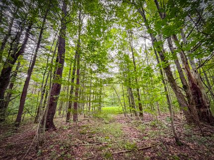 Property in Chemung County, New York