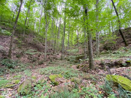 Property in Walker County, Alabama