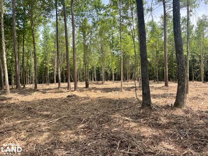 Property in Fayette County, Alabama