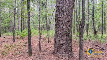 Property in Bradley County, Arkansas