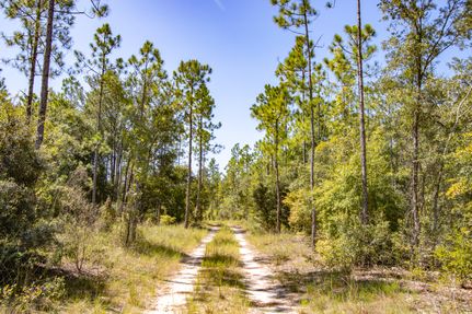 Property in Liberty County, Florida