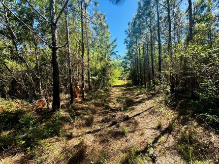 Property in Madison County, Florida