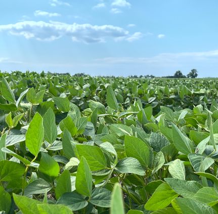 Property in McHenry County, North Dakota