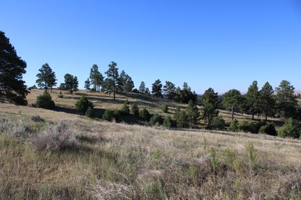 Recreational Property for sale in Crook County, Wyoming