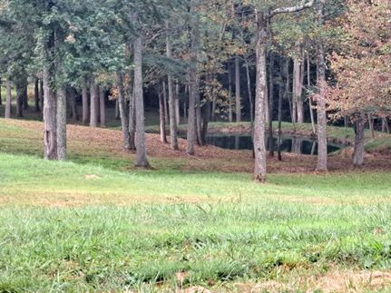 Property in Ohio County, Kentucky