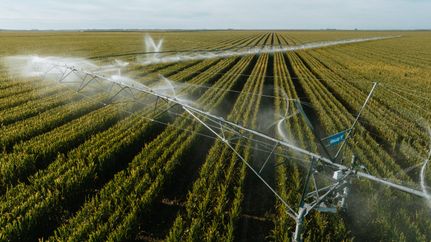 Property in Hamilton County, Nebraska