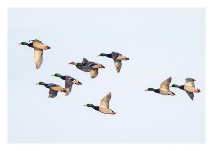 Property in Pulaski County, Arkansas