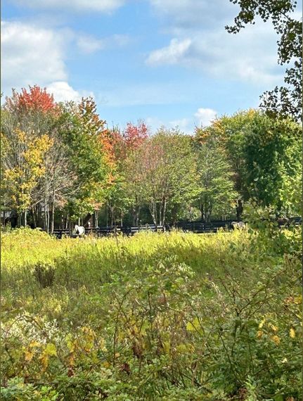 Property in Oakland County, Michigan