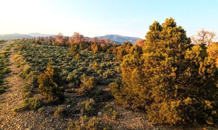 Property in Elko County, Nevada