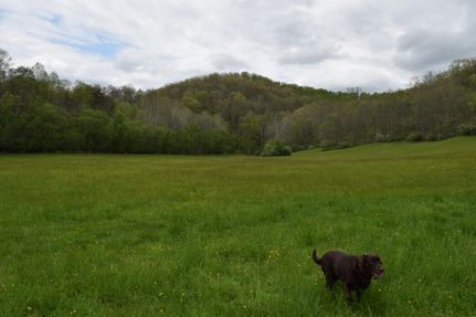 Property for sale in Gilmer County, West Virginia