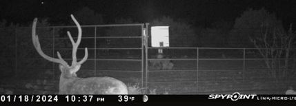 Property in Edwards County, Texas