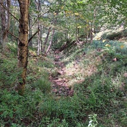 Property in Potter County, Pennsylvania