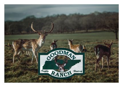 Property in Chester County, Tennessee