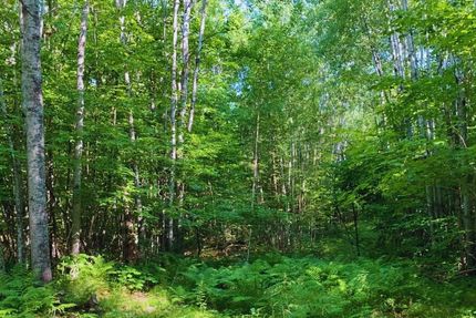 Property in Mille Lacs County, Minnesota