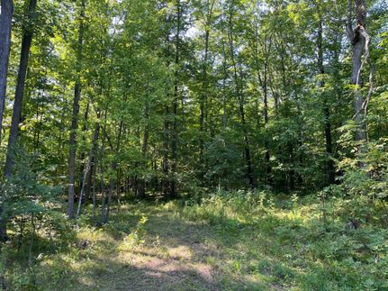 Property in Allegany County, New York