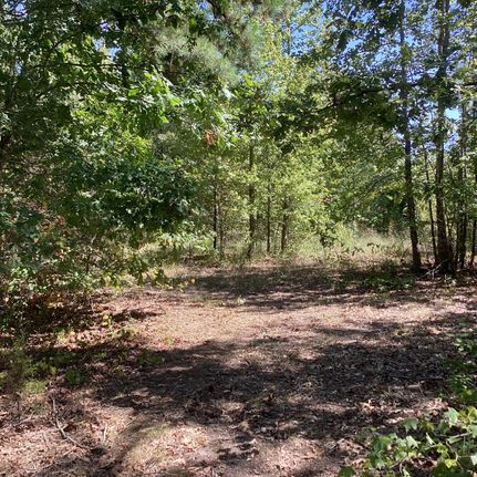 Property in Polk County, Arkansas