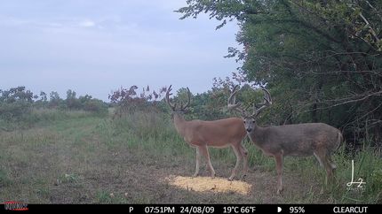 Property in Woodson County, Kansas