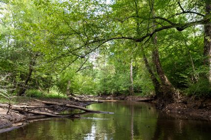 Property for sale in Jefferson County, Georgia